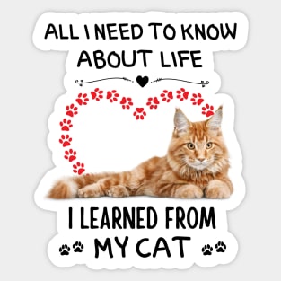 All I Need To Know About Life I Learned From My Cat Sticker